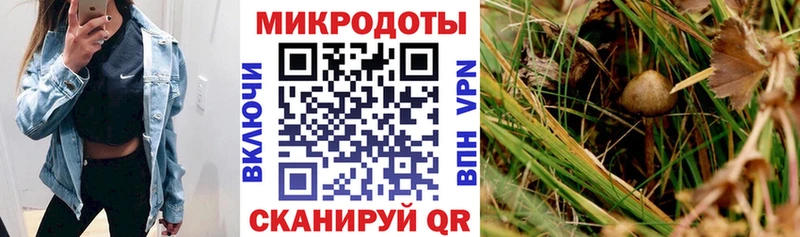 Галлюциногенные грибы MAGIC MUSHROOMS  Сухой Лог 